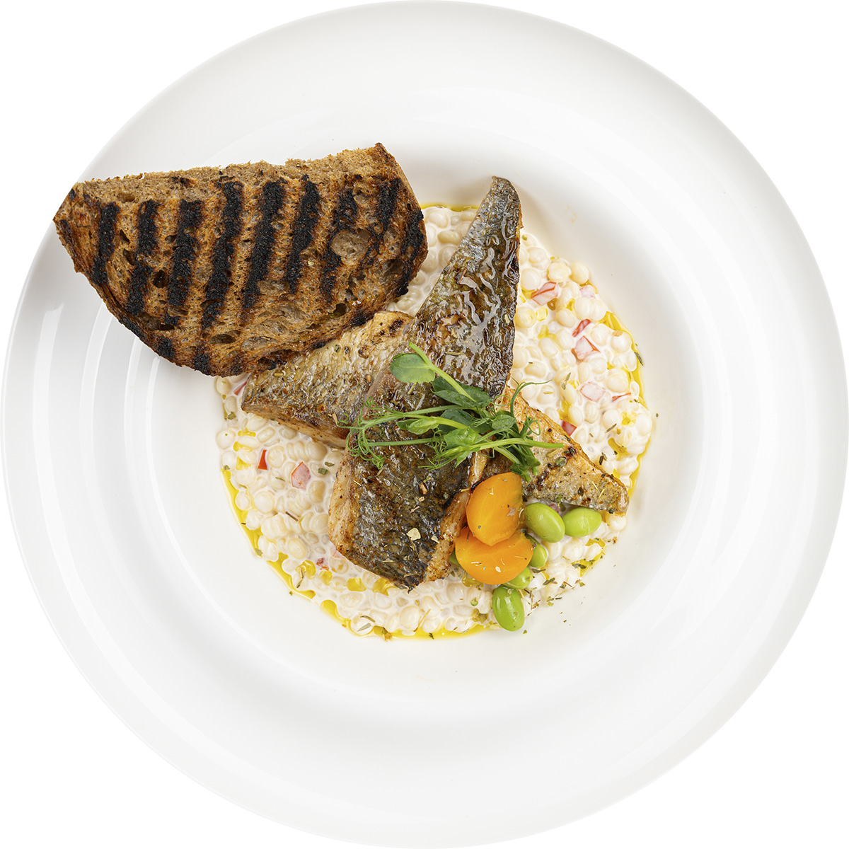 Дорадо с птитимом под сливочным соусом